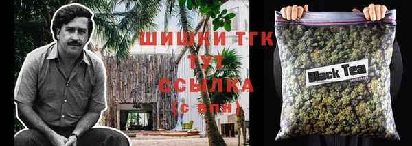 крисы Баксан