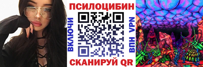 Псилоцибиновые грибы Psilocybine cubensis  Козельск 